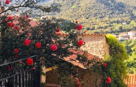 palalda-gallery-04