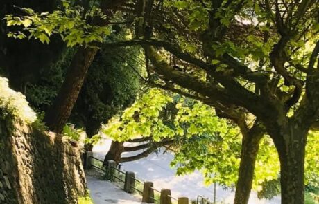 palalda-gallery-05