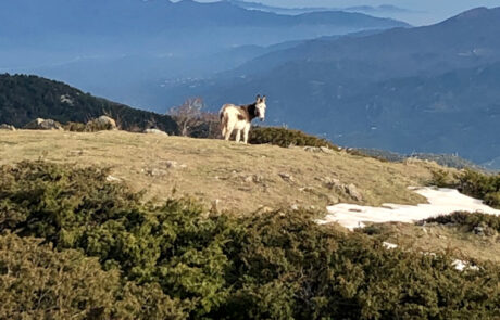 palalda-gallery-12